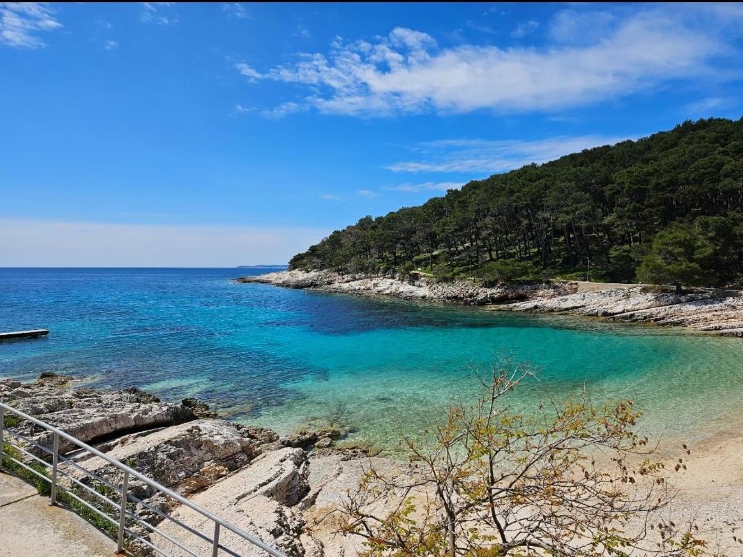Apartamento Adriatic Dream - Garage - Sea View